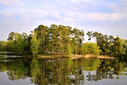 医创会及消化内镜协同创新分会专家医联学术会在四川肛肠医院举行