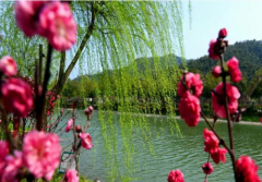 基于个人经济实力，我认为这款重疾险很不错