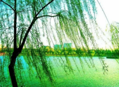 意外险仅能保意外吗？不是的，也能“包罗万象”	